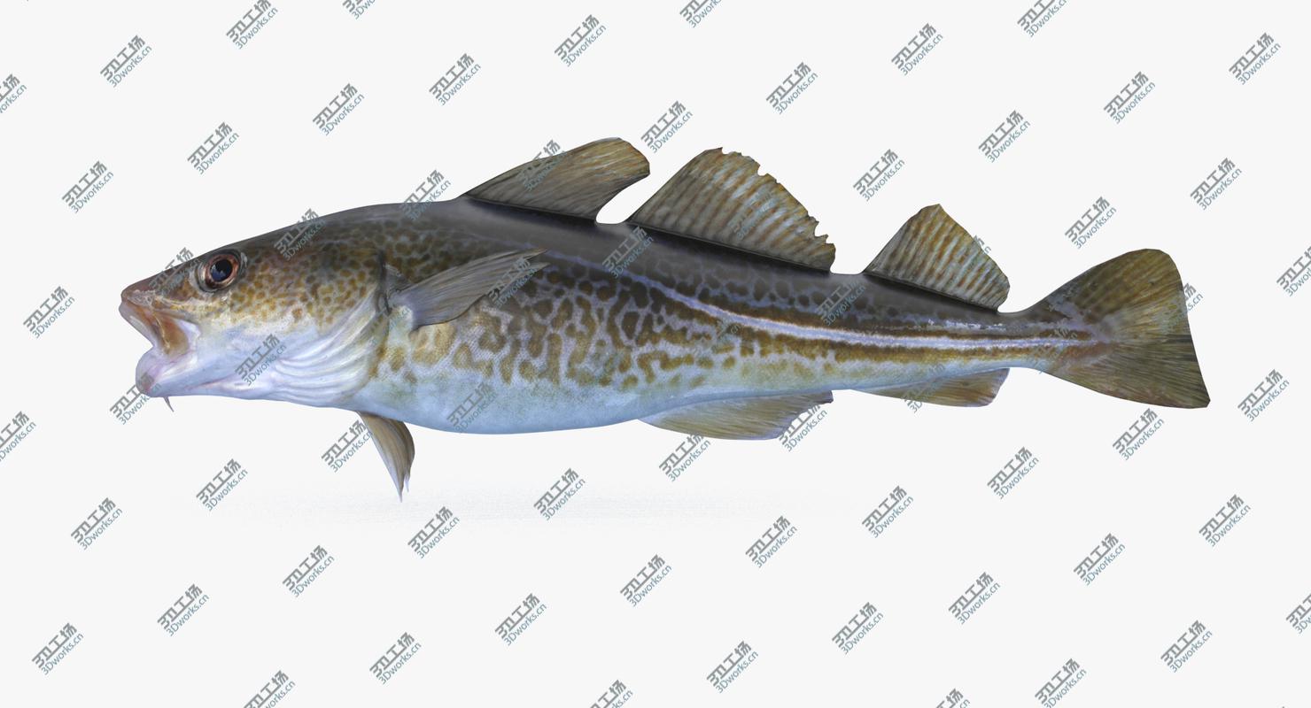images/goods_img/20210319/Fish Collection 03 3D model/2.jpg